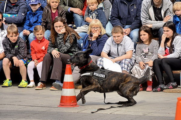 Polizeishow   032.jpg